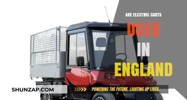 Electric Carts in England: Usage, Popularity, and Environmental Impact