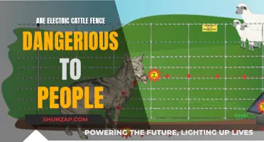 Electric Cattle Fences: Are They a Danger to Humans?