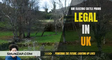 Electric Cattle Prods: Are They Legal in the UK?