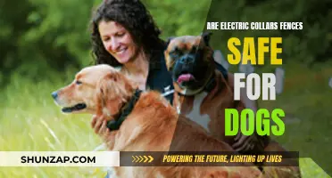 Electric Collars and Fences: Safe or Harmful for Dogs?