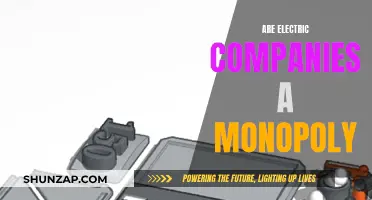 Electric Companies: Monopoly or Free Market?