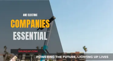 Electric Companies: Essential or Not?
