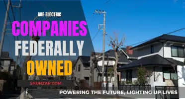 Electric Companies: Federal Ownership and Control Explored