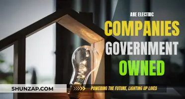 Electric Companies: Who Owns Them?