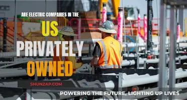 Electric Companies: Private Ownership in the US