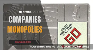Electric Companies: Monopolies or Competitive Markets?
