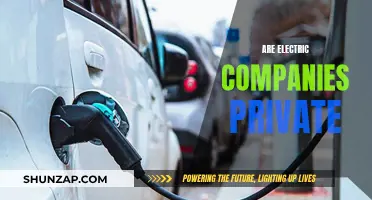 Electric Companies: Public or Private?
