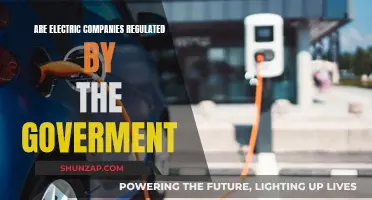 Electric Companies: Government Regulation and Oversight