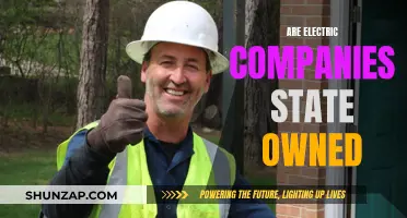 Electric Companies: State-Owned or Private?