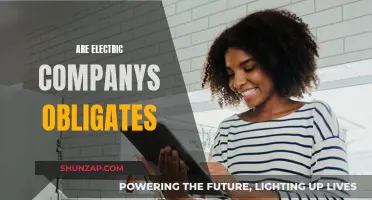 Electric Companies: Understanding Obligations and Consumer Rights