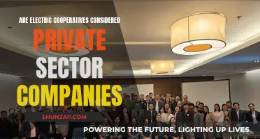 Electric Cooperatives: Private Sector Companies?