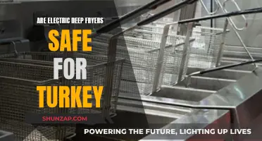 Deep-Frying Turkey Safely: Electric Fryers vs. Oil Safety
