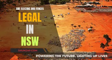 Electric Dog Fences: Are They Legal in NSW?