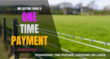 Electric Fences: One-Time Cost or Ongoing Expense?