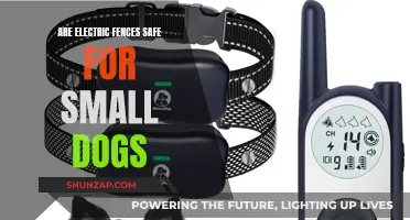 Electric Fences: Safe or Dangerous for Small Dogs?