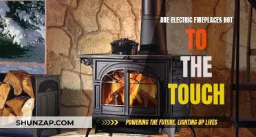 Electric Fireplaces: Hot or Not?