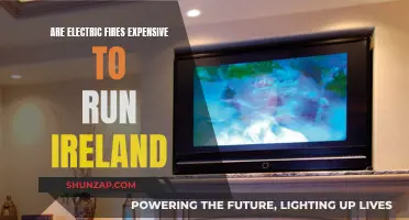 How Costly Are Electric Fires to Operate in Ireland?