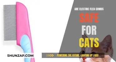 Electric Flea Combs: Safe Pest Control for Cats?