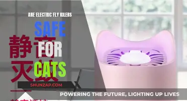 Are Electric Fly Killers Safe for Cats?