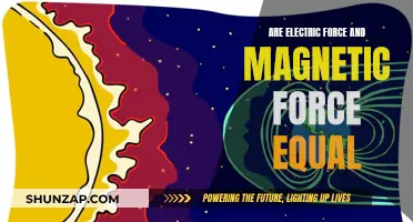 Electric and Magnetic Force: Equal or Not?