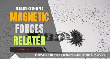 Electric and Magnetic Forces: Intrinsically Linked Phenomena