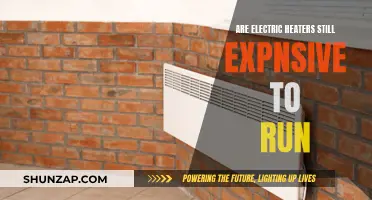 Electric Heaters: Costly to Run or Efficient?