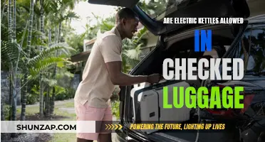 Electric Kettles in Checked Luggage: What's the Verdict?
