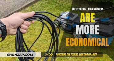 Electric Lawn Mowers: Cheaper and More Economical?