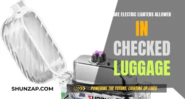 Electric Lighters in Checked Luggage: What's the Verdict?