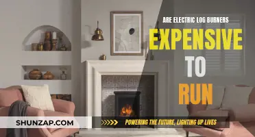 How Much Do Electric Log Burners Cost to Operate?