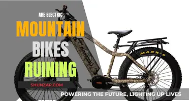 Electric Mountain Bikes: Ruining the Sport or Enhancing It?