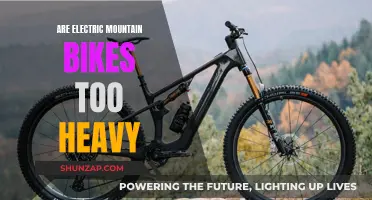 Electric Mountain Bikes: Heavy Burden or Worthy Weight?