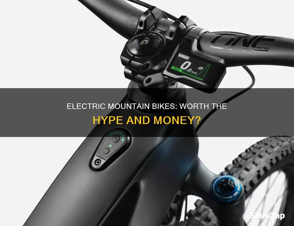 are electric mountain bikes worth it