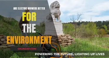 Electric Mowers: Greener Grass, Cleaner Planet?