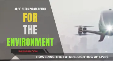Electric Planes: Greener Skies Ahead?
