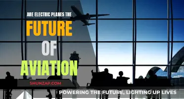 Electric Planes: The Future of Aviation?