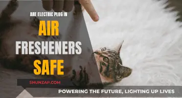 Plug-in Air Fresheners: Are They Safe for Your Home?