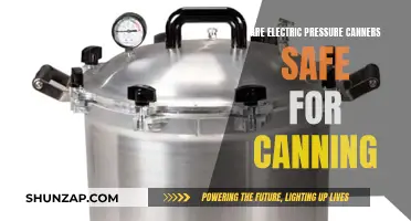 Electric Pressure Canners: Safe for Canning?