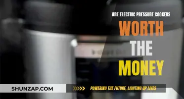 Electric Pressure Cookers: Worth the Investment?