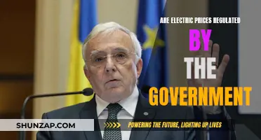 Electricity Pricing: Government Regulation and Control