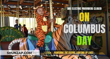 Electric Providers' Operations on Columbus Day: Open or Closed?