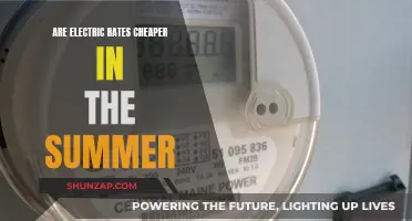 Electric Rates: Summer Savings or Summer Spikes?