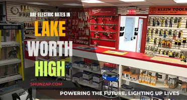 Lake Worth's Electric Rates: High or Affordable?