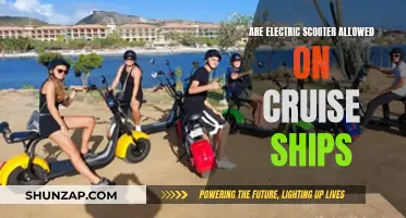 Electric Scooters: Cruise Ship Policy and Your Options