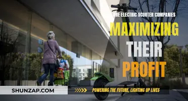 Electric Scooter Companies: Profit Maximization Strategies Explored