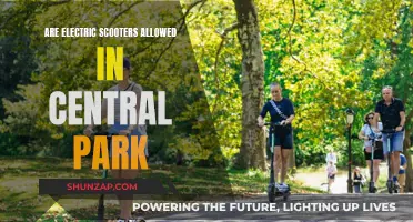 Electric Scooters in Central Park: What's the Deal?