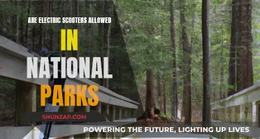 Electric Scooters in National Parks: What's the Rule?
