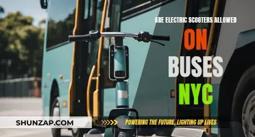 Scooter Commuters: NYC Bus Rules and Regulations
