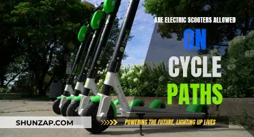 Scooter Rules: Cycle Paths and Electric Scooter Laws
