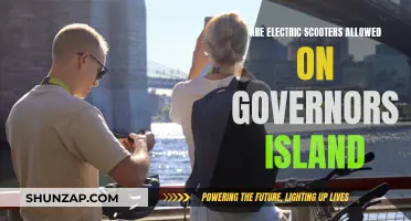 Electric Scooters on Governor's Island: What's the Verdict?